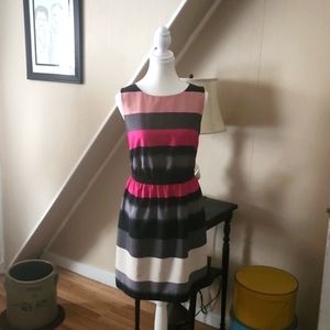 Ann Taylor Loft Dress